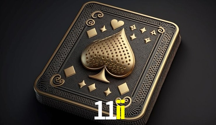 Experiência VIP 11ii